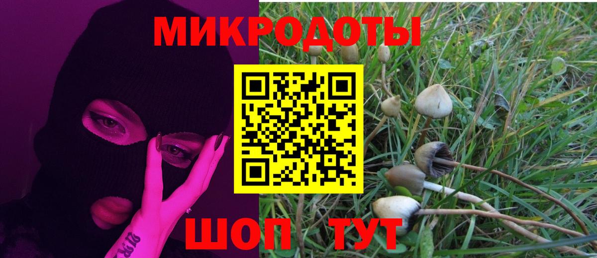 Галлюциногенные грибы GOLDEN TEACHER  Вход с VPN  Орск 