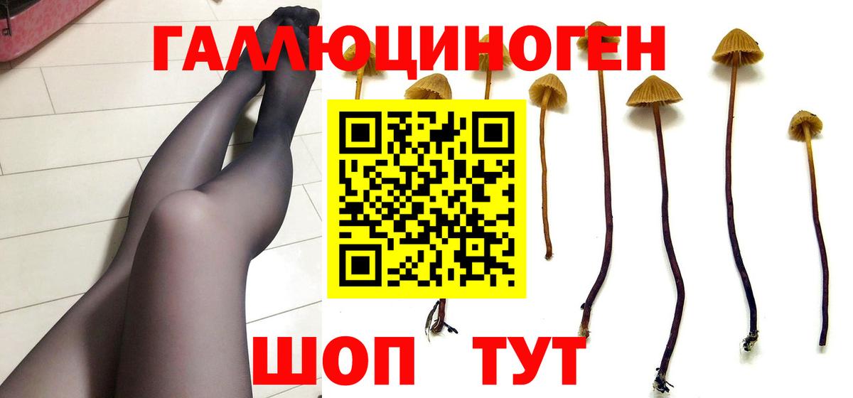 Псилоцибиновые грибы Magic Shrooms Орск